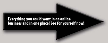 Online-Business-Opportunity -Pic2
